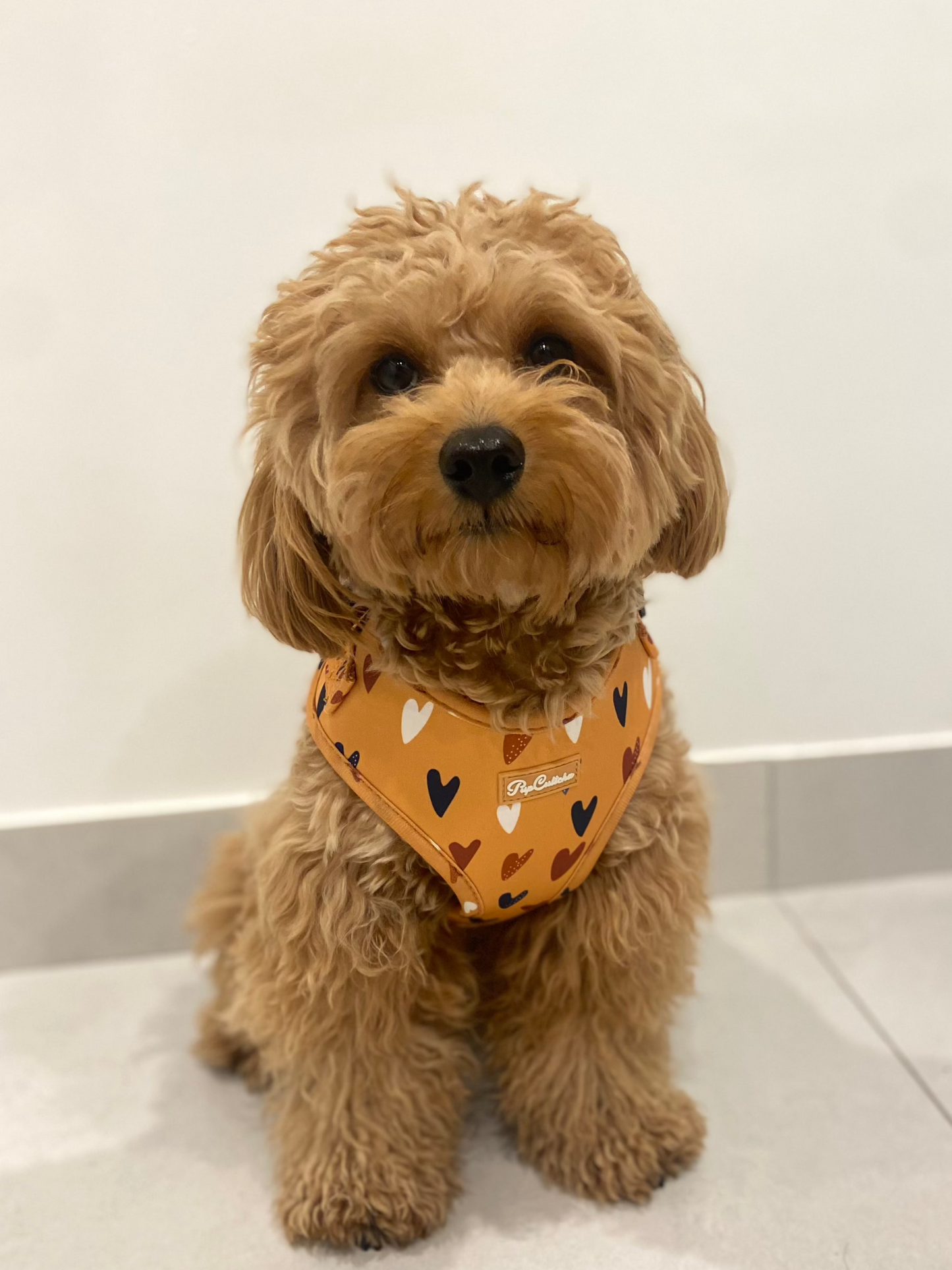 Retro Love Harness