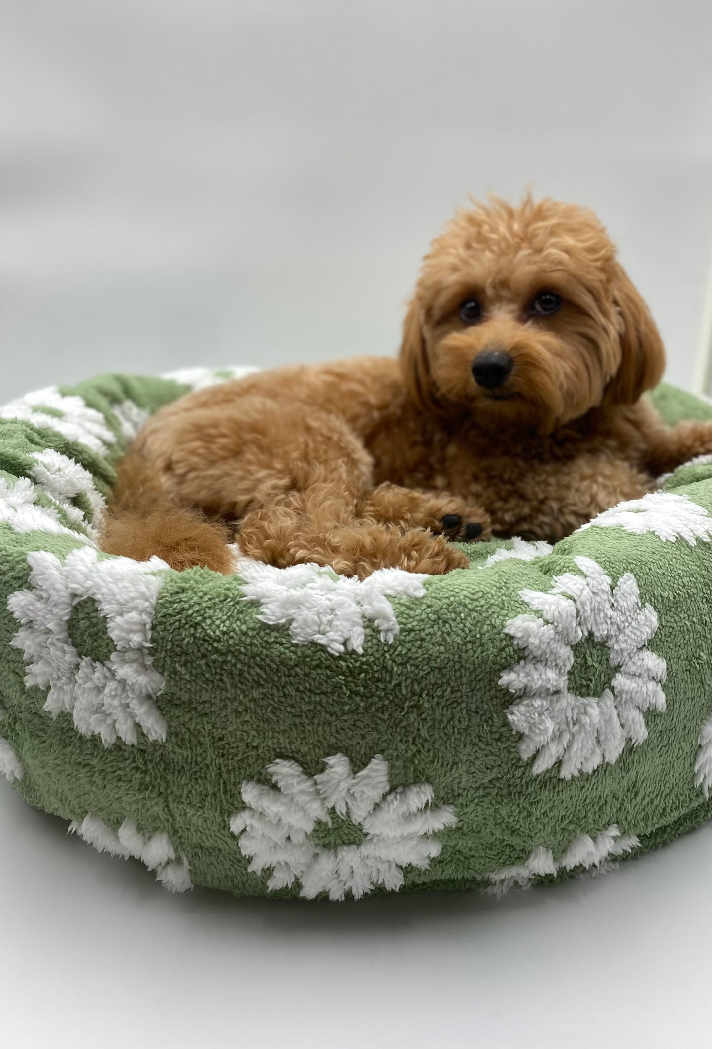 Daisy Dreams Bed
