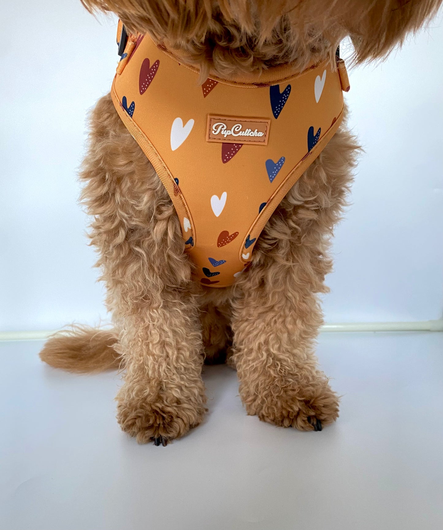 Retro Love Harness