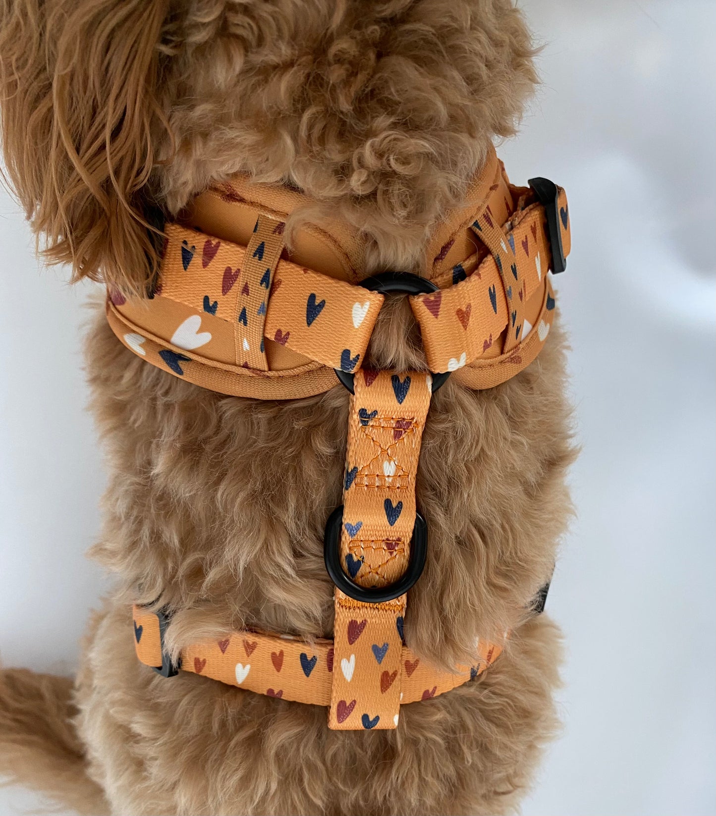 Retro Love Harness
